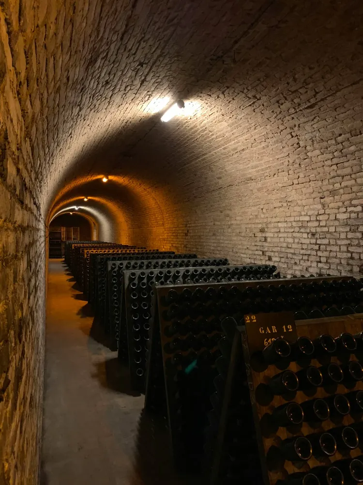Visite de cave champagne près de Dijon