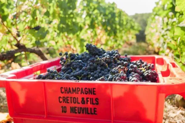 activité à faire près de Troyes 