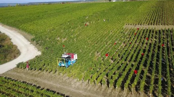 livraison de champagne à domicile près de Troyes 